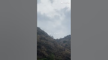 قران كريم #ياسر الدوسري #اجر لي ولكم