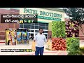 Vegetables rate in america     rate   kannada vlogs  lishore