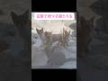 【感動の再会】外猫から家猫になるまでの猫ファミリーの出来事#shorts #cat#保護猫