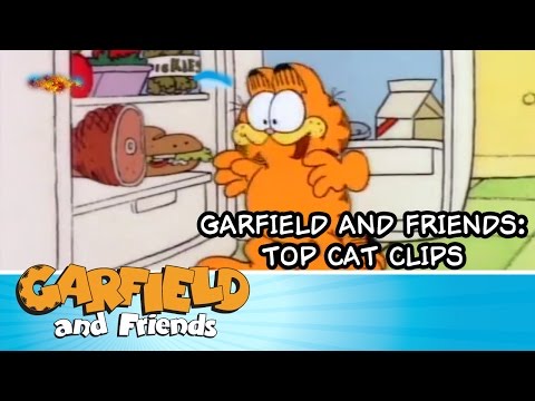 Garfield and Friends: Top Cat Clips - Compilation