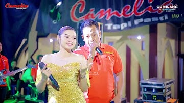CAMELIA MUSIC - BAHTERA CINTA - LAILY ALDIVA - KHITAN FADHIL - BUCU KEMBANG JEPARA
