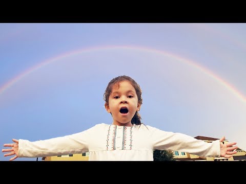 Video: Double Rainbow Guy xalis dəyəri: Wiki, Evli, Ailə, Toy, Maaş, Qardaşlar