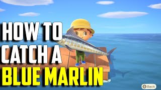 How To Catch A Blue Marlin Blue Marlin Acnh Blue Marlin Animal Crossing New Horizons