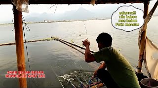 Ediaaannn!!! Bayangkan kalau tiap mancing hasil nya begini pasti betah || mancing Jatiluhur terbaru