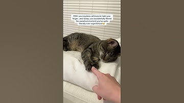 when she grabbed my finger and kissed it I LOST IT😭 #blindcat #poorcat #cat #shorts