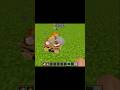 Campfire Use for survival 🤩 #subscribe#gaming#shorts#foryou#minecraft | ItzMayank