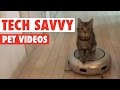 Techsavvy pets  funny pet compilation