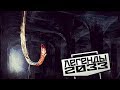 КТО ТАКИЕ ЛИАНЫ — ЛЕГЕНДЫ «МЕТРО 2033»