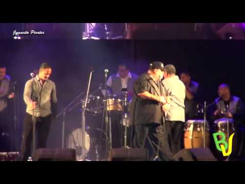 Cobarde Cobarde -