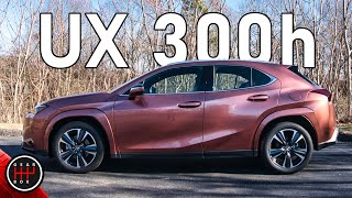 2025 Lexus UX 300h AWD Detailed Review