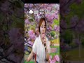 슬픈미소 조용필 류인숙 트로트 트롯체전 미스터트롯2 빼빼 트롯869 노래 동물키우기 트롯 내마음의풍금 Shorts 슬픈미소 조용필 류인숙 트로트 트롯체전 미스터트롯2 빼빼 트롯869 노래 동물키우기 트롯 내마음의풍금 Shorts