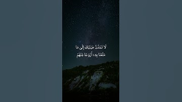 * سورة الحجر* القارئ : هزاع البلوشي * Surah Al-hijr* Reader : Hazza Al Balushi