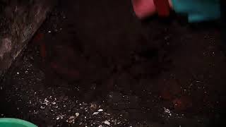 Trailer Ruqyah Trans 7 13 okt 2019