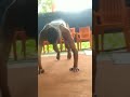 21 Jun 2024  अंतरराष्ट्रीय योग दिवस की तैयारी।   #shorts #yoga