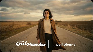 Gül Pembe - Deli Divane Erol Evgin Cover Retro & Lo-Fi Türkçe