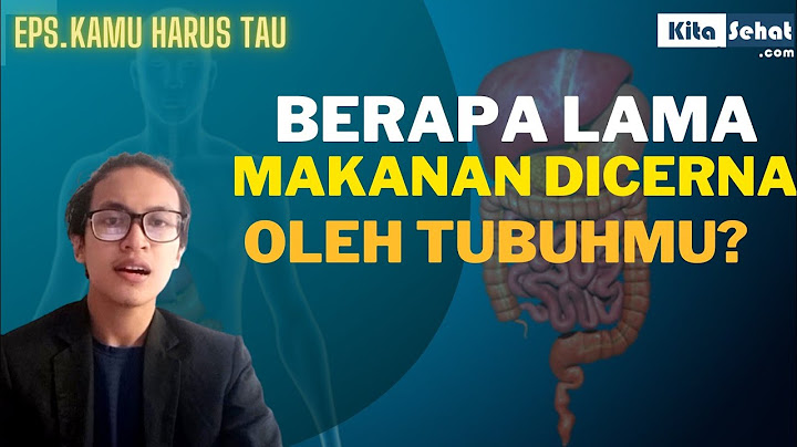 Berapa lama makanan dicerna menjadi feses