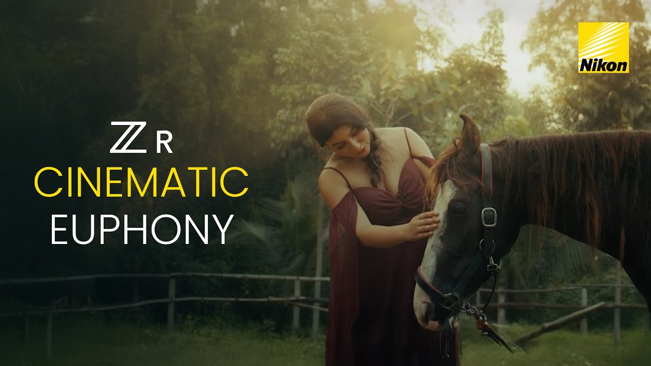 Seeing Differently | Shot on Nikon ZR