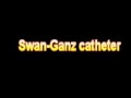 What Is The Definition Of Swan Ganz catheter Medical School Terminology Dictionary