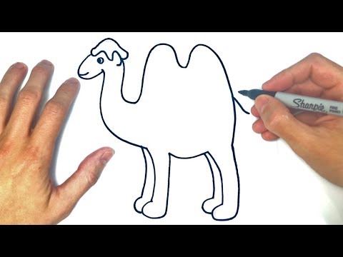 Video: Cómo Dibujar Un Camello