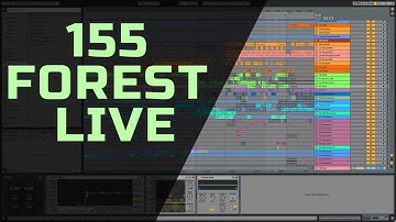 155 FOREST ABLETON #13