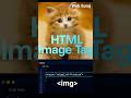 HTML Image Tag Explained | How to Add Image in HTML | Learn img Tag with Real Example | #coding