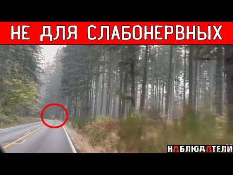 Видео: Потэ умрет в королеве юга?