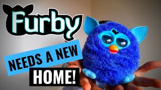 Adopt a Furby Today