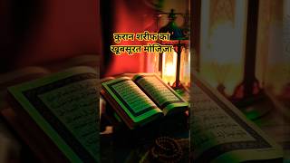 Quran kareem #lifeisbutadream #facts #shortvideo #nature #islamicscripture