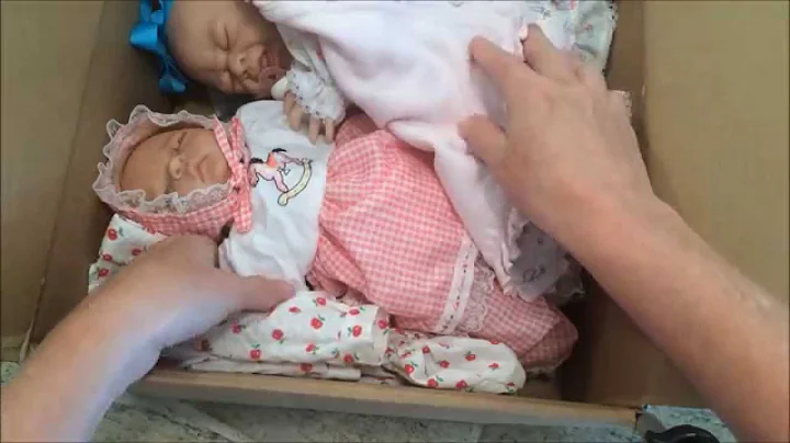 Two Reborns in Surprise Package! From Connie Klein