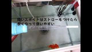 金魚とメダカ　短いスポイトはストローをつけたら長くなって使いやすい