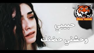 الاغنية دي فيها كمية وجع متتوصفش | حبيبي وحشني حضنك 