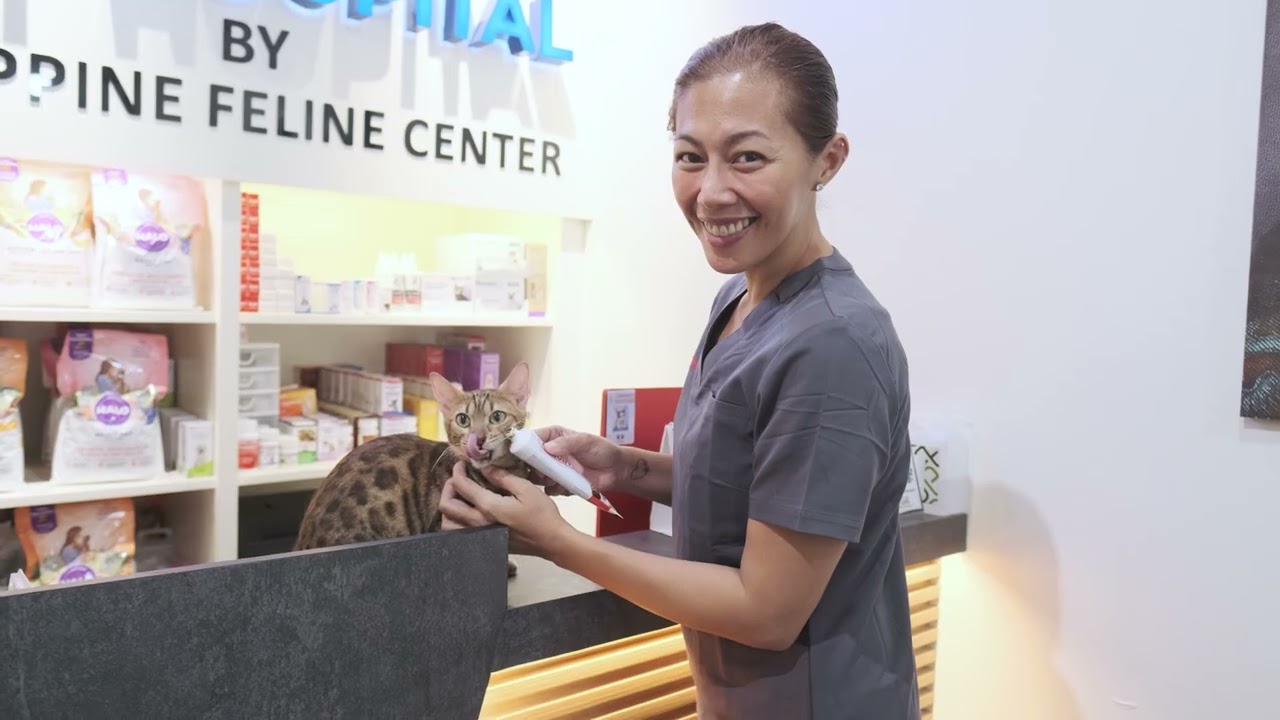 Dr. Mace of Cat Hospital by Philippine Feline Center Recommends Activim+