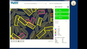 How to [grade, Inspect,Analyze] Parboiled Long Grain Milled Rice with QM3-Rice Analyzer