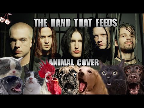 Nine Inch Nails - The Hand That Feeds Animal Cover