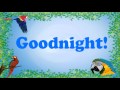 Teach your parrot to say goodnight