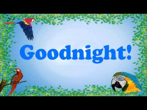 Image result for parrot goodnight