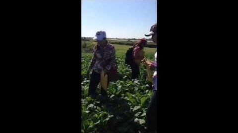 Pest surveillance workshop