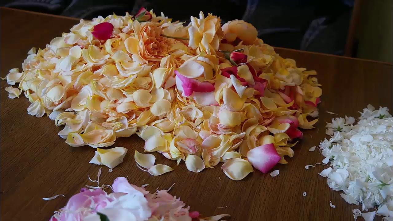 Как сделать домашний чай из лепестков роз и жасмина - YouTube