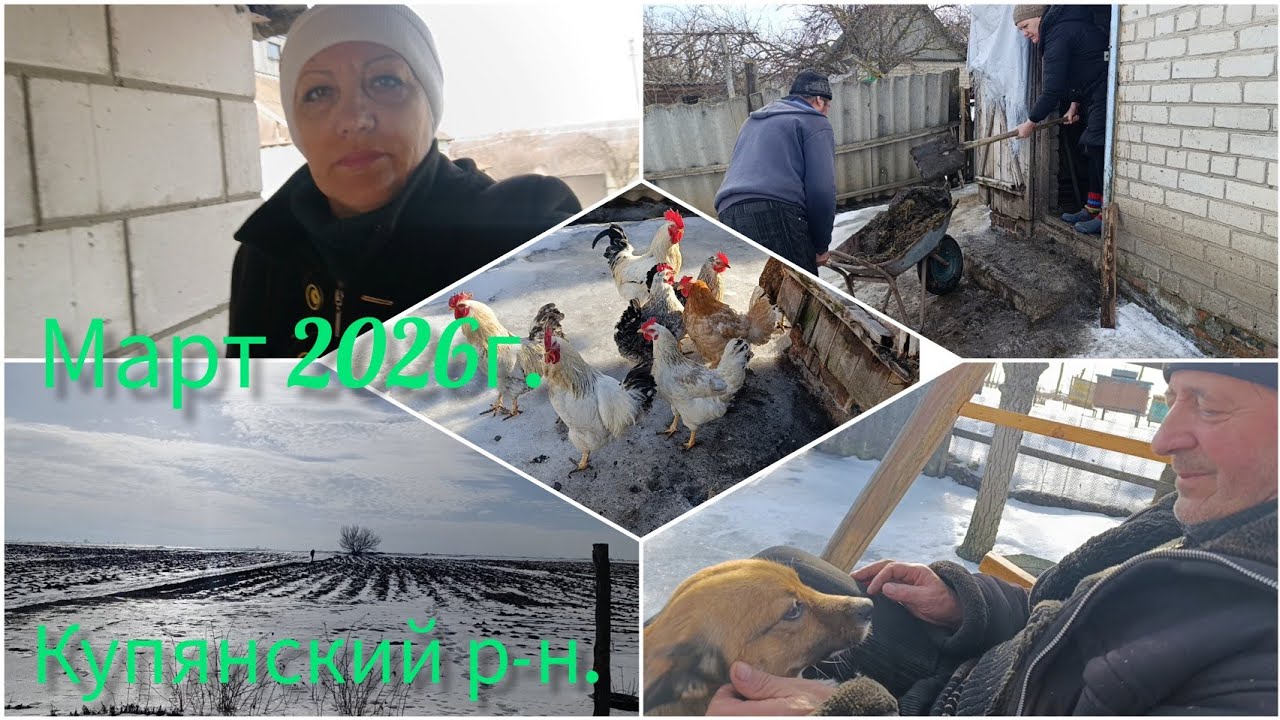  Первый весенний день в селе🏡/С первым марта🌾/Чистим курятник.🐓
