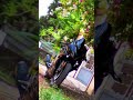 R15 v3#shortvideo #whatsappstatus #trending #yamaha