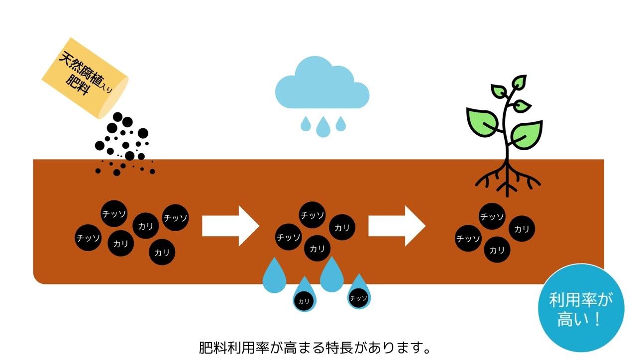 腐植が支える大地の恵み／日本肥糧株式会社