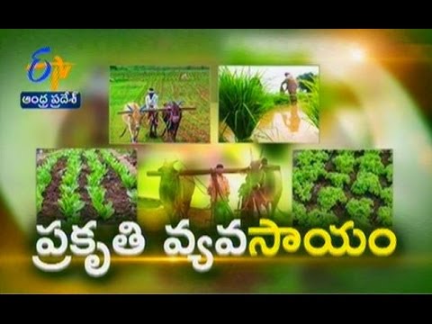 Idi Sangathi - ఇదీ సంగతి - 4th February 2015 - YouTube