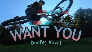 WANT YOU - Ondřej Koval