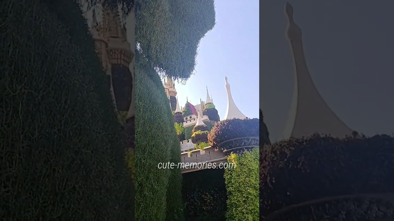 Dubai Miracle Garden - Har Funn Maula | #dubaitravel #triptodubai #miraclegarden #harfunmola
