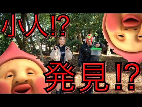 【こびとづかん】カクレモモジリを探せ!