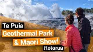 ♨️ Te Puia Maori Show & Geothermal Park in Rotorua – New Zealand's Biggest Gap Year
