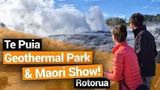 ♨️ Te Puia Maori Show & Geothermal Park in Rotorua - New Zealand's Biggest Gap Year