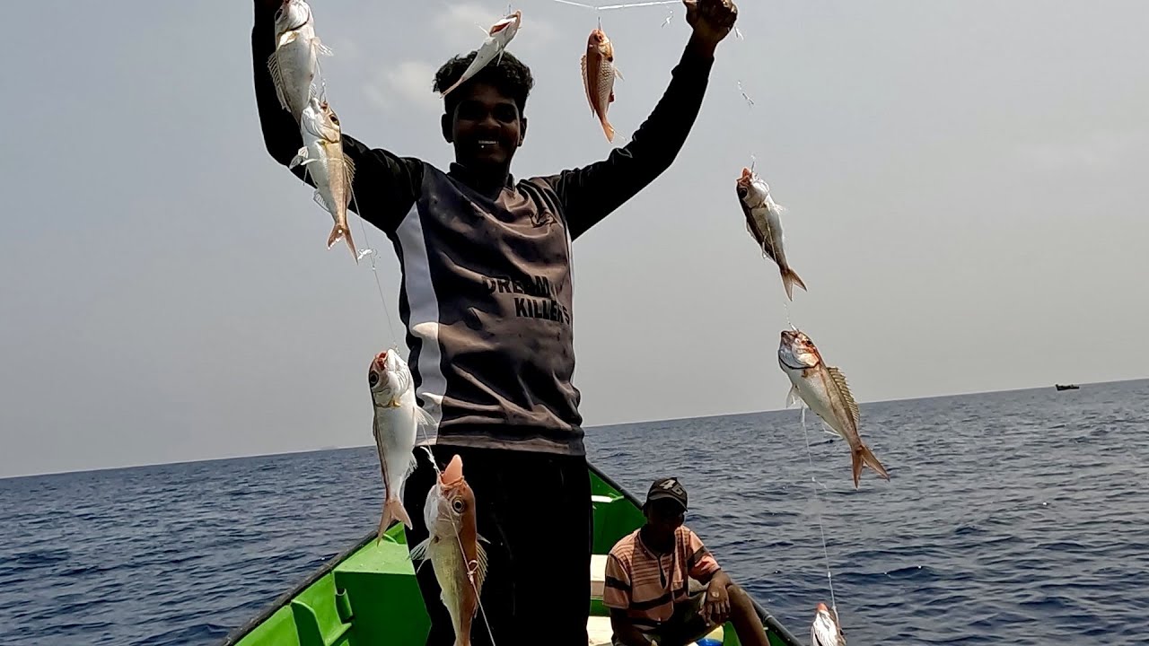 Rosey Snapper Catching Plenty of Rosy Snapper Fish in the Sea - YouTube