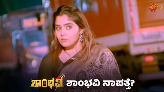 Celebrity ಶಾಂಭವಿಯನ್ನು ಕಾಪಾಡ್ತಾಳ ಶಿವಗಾಮಿ? | Sevanthi - Super Duper Scenes | 04 Nov 2023 | Udaya TV Net Worth