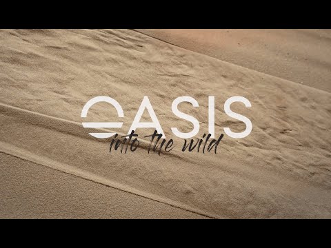 Introducing Oasis: Into The Wild 🌴